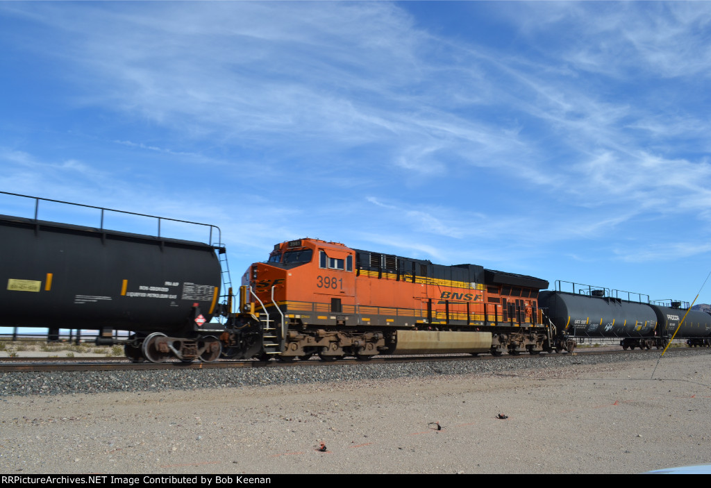 BNSF 3981